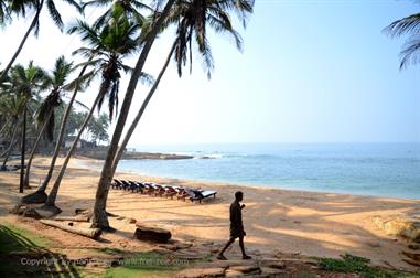 Coconut Bay Resort, Kovalam,_DSC_8758_H600